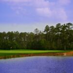 cypress_02