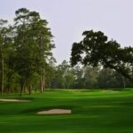 cypress_04
