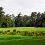cypress_05