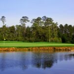 cypress_10