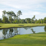 cypress_12