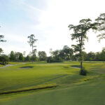 cypress_14