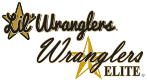 LW-EW Logos Transparent